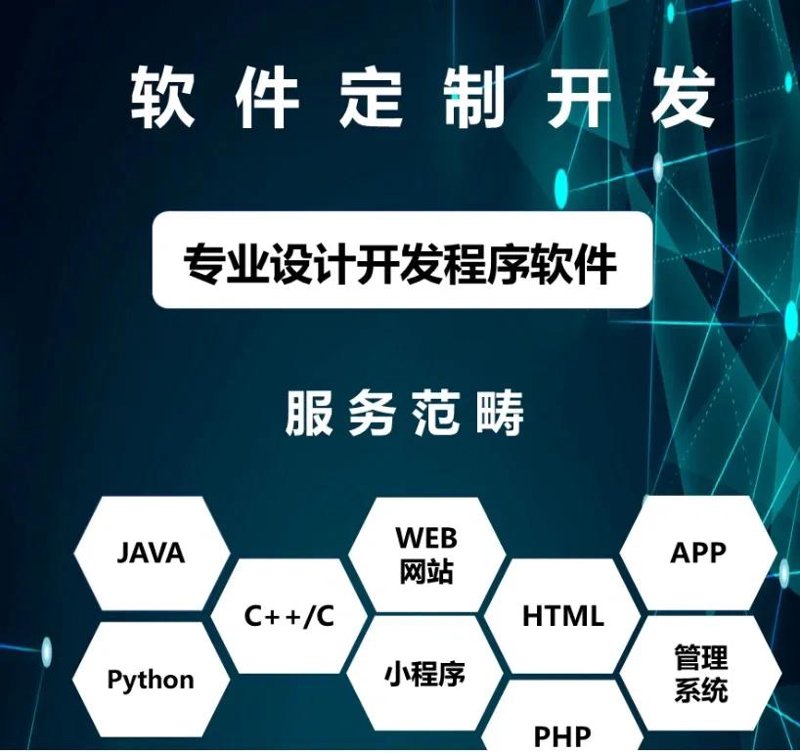 企业信息化：迈向数字化转型的路径
