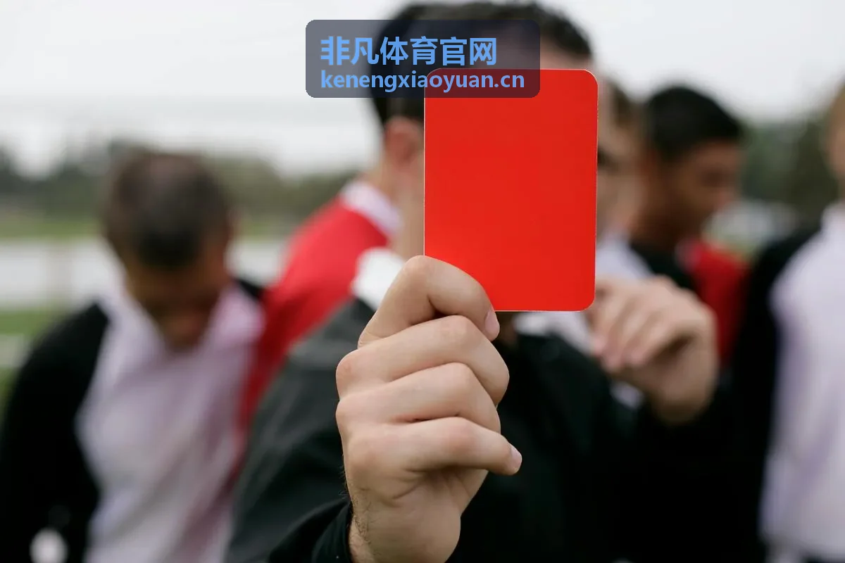 非凡体育官网综合运动空间管理服务示意
